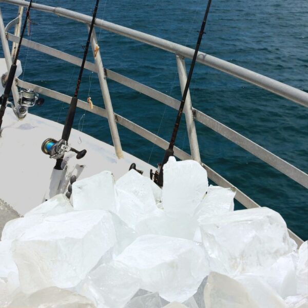 純氷・海水氷の通販