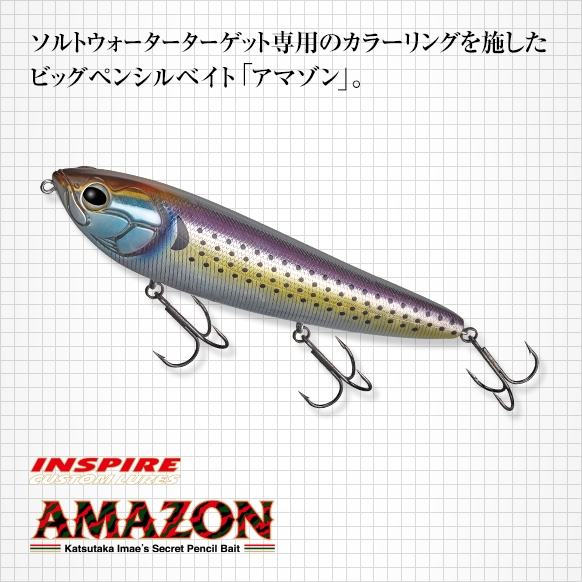 エバーグリーン　アマゾン