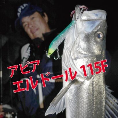 アピア　エルドール115F