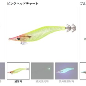 ダイワ エメラルダス シャインLC-LI Type-S 3.5号 : 釣り具の通販