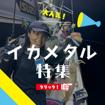 イカメタル 通販 販売
