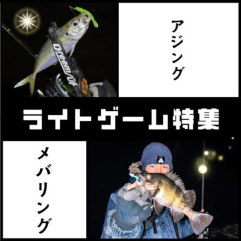 アジング＆メバリング